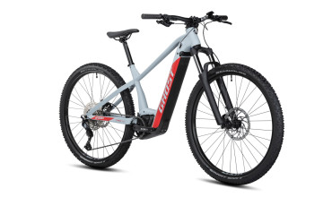 GHOST E-Teru Advanced 29 B750 light grey